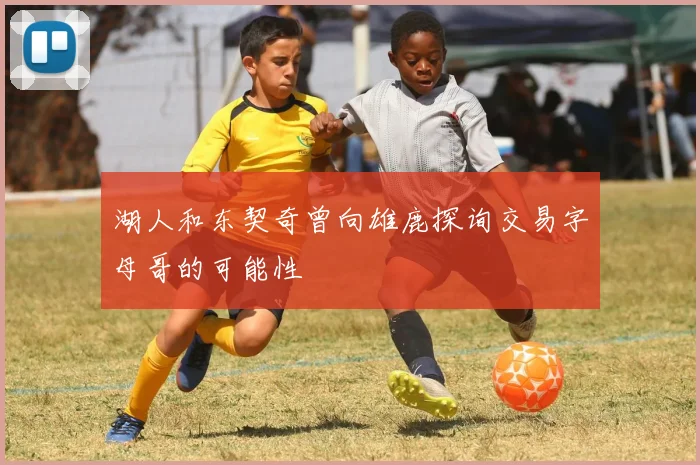 湖人和东契奇曾向雄鹿探询交易字母哥的可能性