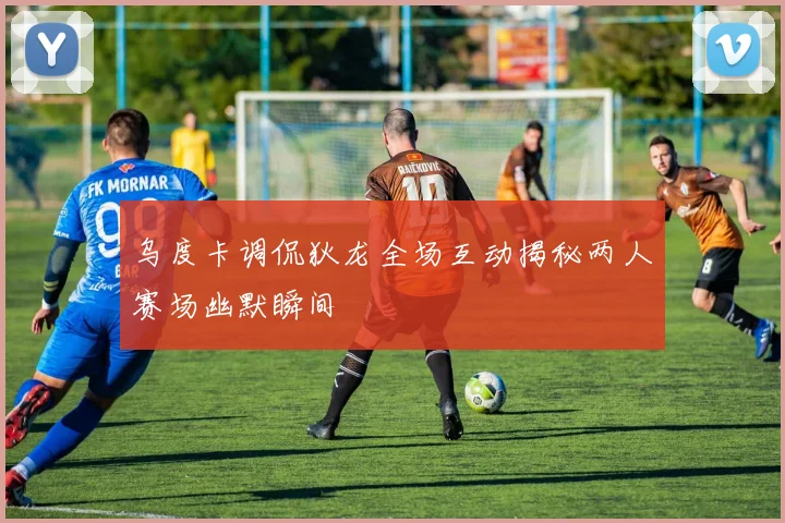 乌度卡调侃狄龙全场互动揭秘两人赛场幽默瞬间